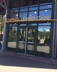 Leaping Lemur Cafe At San Francisco Zoo Family Zoo Cafe Sanfran Leaping Lemur Cafe At San Francisco Zoo Family Zoo Cafe Sanf San Francisco Zoo Zoo San