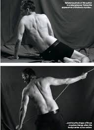 Muscles of the back can be divided into superficial, intermediate, and deep group.since the all the back muscles originate in embryo (fetus) form by locations other than the back. Draw Muscles Under Stress Pressreader