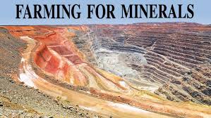 Image result for Haumaniastrum katangense