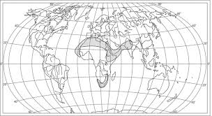 Image result for Aizoon schellenbergii