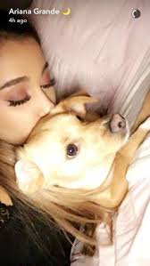 Pin On Ari