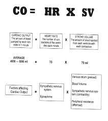Cardiac output = heart rate x stroke volume thus, if the heart rate decreases so will the cardiac output, assuming the stroke volume is constant. Cardiac Output