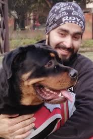 What you see, verse what I see! ❤️🐾🏈