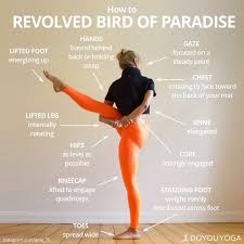 Bird Of Paradise Pose Yoga Pose Yoga Inspiration Yogi Goals Yoga Poses Advanced Advanced Yoga Yoga Help
