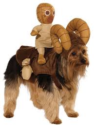Turn Your Dog Into A Bantha A Tauntaun Or An At At Star Wars Dog Costumes Dog Costume Star Wars Costumes