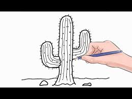 Hello, friends, all of you are welcome in today's blog post. How To Draw A Cactus Easy Step By Step Youtube