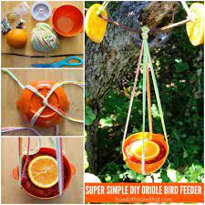The materials required for this diy oriole feeder include pvc bushing, pvc coupler, hammer, file, end plug, caulking gun, waterproof adhesive, and pvc pipe. Diy Oriole Bird Feeder Easy Fun For Kids Budget Friendly