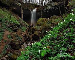Maybe you would like to learn more about one of these? Trillium Trail Waterfall At Hosack S Cave In Salt Fork State Park In Ohio Spring 2014 Jeff Burcher Photography Sal Ohio Waterfalls Ohio State Parks Waterfall