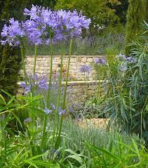 By Claudia De Yong Designs Www Claudiadeyongdesigns Com And Www Thegardenspot Co Uk Garden Inspiration Garden Design Mediterranean Garden