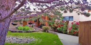 Here at santa fe cats we don't just believe that your pet is family, we treat them like they are our own family! Santa Fe Boarding Kennel Dog Cat