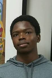 Meet The Flint Journal's 2016 Football Defensive Dream Team