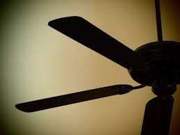 Dan's fan city is the largest independent retailer of ceiling fans, ceiling fan parts and accessories in the united states. Ceiling Fan Not Spinning 4 Light Ceiling Fan