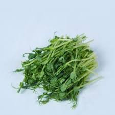 Kalau daun sup dan daun ketumbar masih dijual dengan akarnya, mungkin lebih mudah untuk anda membezakan keduanya. Daun Sop 50g Fresh4u Buy Fresh Vegetables Online For Delivery