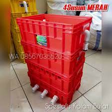 Jual filter kolam ikan koi ikan koi ini terkenal di seluruh wilayah sebagai ikan hias yang elit. Jual Filter Kolam Ikan Hias Kab Bogor Spesialis Kolam Bulat Tokopedia