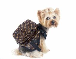 Designer brand names for dogs. 19 Luxury Dog Accessories For Posh Pups Great Pet Care