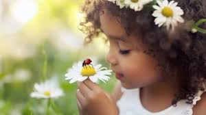 Free Child Holds Daisy Image