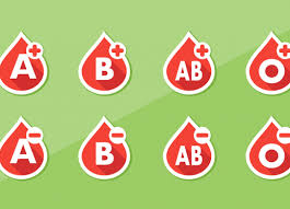 Blood Types Perkins Elearning