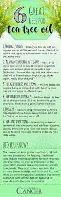 Top 10 Terrific Uses For Tea Tree Essential Oil Tea Tree Essential Oil Tea Tree Oil Essential Oils