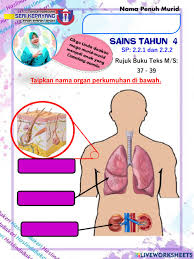 We did not find results for: Sains Tahun 4 Perkumuhan Manusia Worksheet
