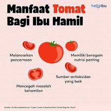 Hanya saja masalah ini tidak akan berlangsung lama. Ibu Hamil Sering Terganggu Karena Masalah Pencernaan Coba Deh Rajin Makan Tomat Makan Tomat Saat Hamil Dipercaya Bisa Memba Kehamilan Sehat Kehamilan Hamil