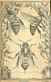 Résultat de recherche d'images pour "bibliodyssey"