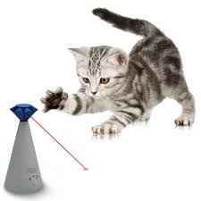 Pin On Cat Toys