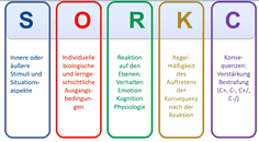 Was tun für einen essanfall? Diagnostik Flashcards Quizlet