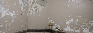 Ideally, you want to keep the humidity level in your house below 60 percent to prevent mold growth. How To Prevent Mold And Mildew In A Basement