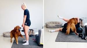 Manchester city have shown interest in the past but are focusing on signing jack grealish and harry kane instead. Workout Mit Hindernissen Hund Macht Sportlerin Das Leben Schwer Stern De