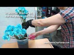 Only guide you need to prune roses. How To Create Blue Rose By 24hrs City Florist Singapore Youtube