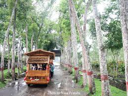 Daftar harga tiket wisata singapore updated 2021. Wisata Puslit Kopi Kakao Jember