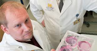 Research pulse strengthens: Heart, gene projects lead way at growing UM  complex