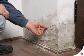 How To Treat Damp Walls Before Painting | Living By Homeserve