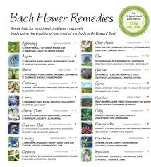 Holly, honeysuckle and/or willow for those who harbour resentments about the past; Cure All Your Ailments With Bach Flower Remedies