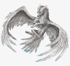 We did not find results for: Wolf Drawings Animal Drawings A Wolf Wolves Tattoos Grey Wolf With Wings Png Image Transparent Png Free Download On Seekpng