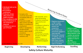 Image Result For Hse Audit Program Roadmap Health And Safety Risk Management Patient Safety