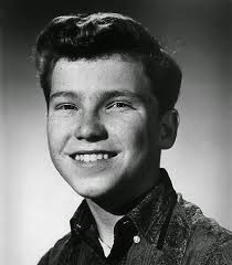 FROM THE VAULTS: Eddie Hodges born 5 March 1947