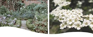 It was brought to iowa from huntington botanical gardens in. Native Plants Iowa Ted Lare Design Build