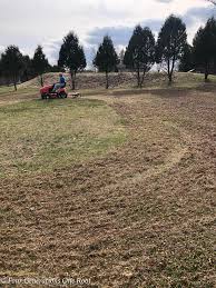 Thatch, thatching, dethatch, dethatching, dethatchers, lawn dethatching tips, dethatching lawns, dethatching a lawn, dethatch the lawn, dethatching lawn, lawn dethatcher, lawn detacher. Dad S Lawn Dethatcher Tips And Tricks Best Lawn Series 1 Four Generations One Roof