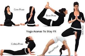Want To Stay Young For Longer Following Are The Five Best Yoga Asanas That Are Very Useful To Keep You Beginner Yoga Workout Yoga Asanas Types Of Yoga Asanas