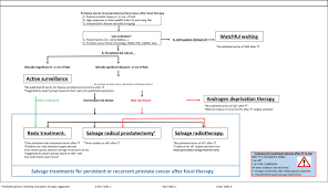 The nccn guidelines for prostate cancer include recommendations regarding diagnosis, risk stratification and workup, treatment options for localized disease, and … Salvage Local Treatments After Focal Therapy For Prostate Cancer European Urology Oncology