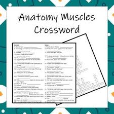 Anatomy Muscles Of The Body Crossword High School Activities Root Words High School Fun