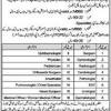 Family medicine physician, direct primary care job type: 1