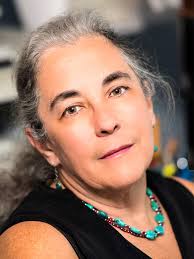 AAA Program 2020 E Version