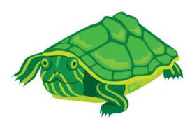 Download Free Turtle Svg Cut File Free Svg Cut Files Create Your Diy Projects Using Your Cricut Explore Silhouette And More The Free Cut Files Include Svg Dxf Eps And Png Files Yellowimages Mockups