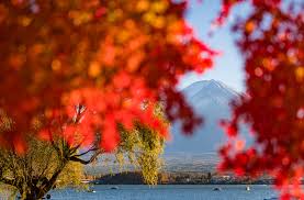 Tips Things To Do In Fall At Mount Fuji Travel Caffeine