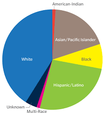 23 abundant american population by race pie chart