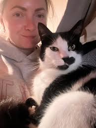 Missing black and white cat in Whangarei