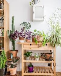 Enjoy a better shopping experience with ikea app. 39 Blumenstander Ideen Blumenstander Diy Blumenstander Pflanzenstander