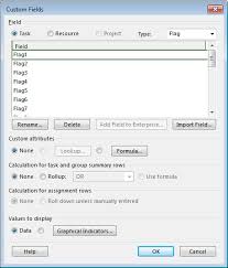 using flag fields to automatically format gantt bar colors